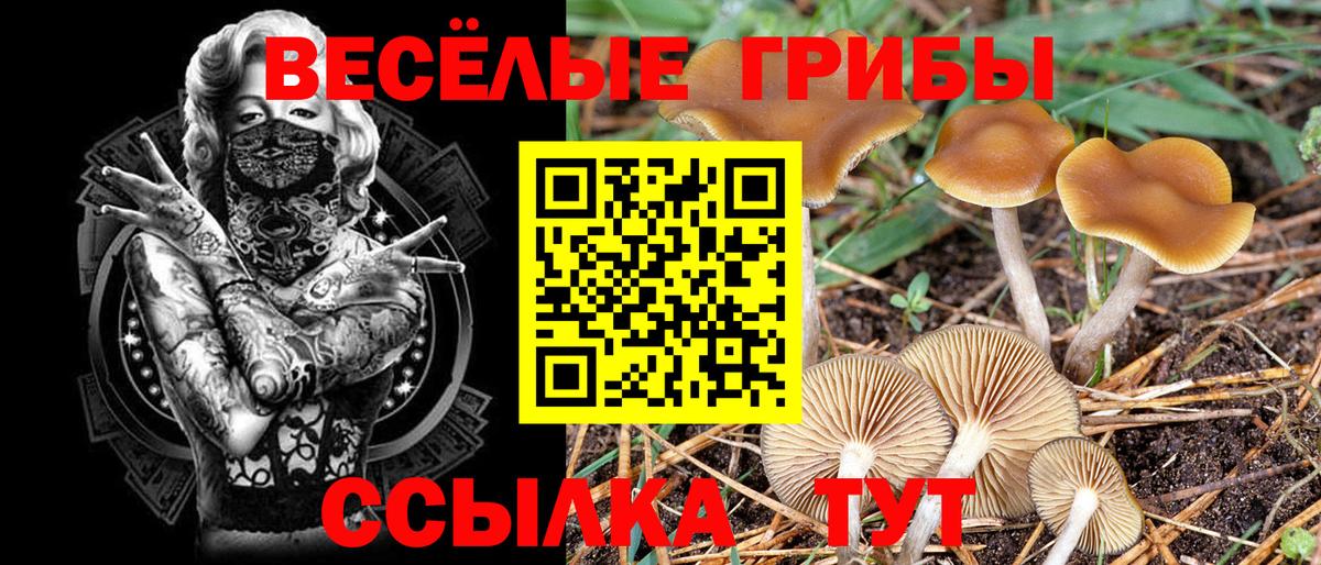 Галлюциногенные грибы прущие грибы  Галлюциногенные грибы ЛСД  Вход с VPN  Химки 